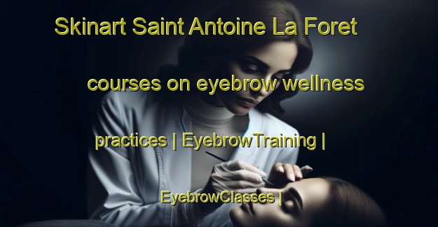 Skinart Saint Antoine La Foret courses on eyebrow wellness practices | EyebrowTraining | EyebrowClasses | SkinartTraining-France
